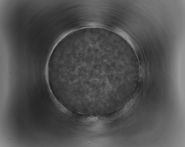X0000092321098200709211325
