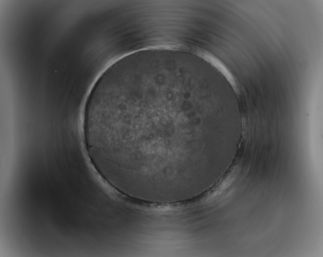X0000092321099200709211325