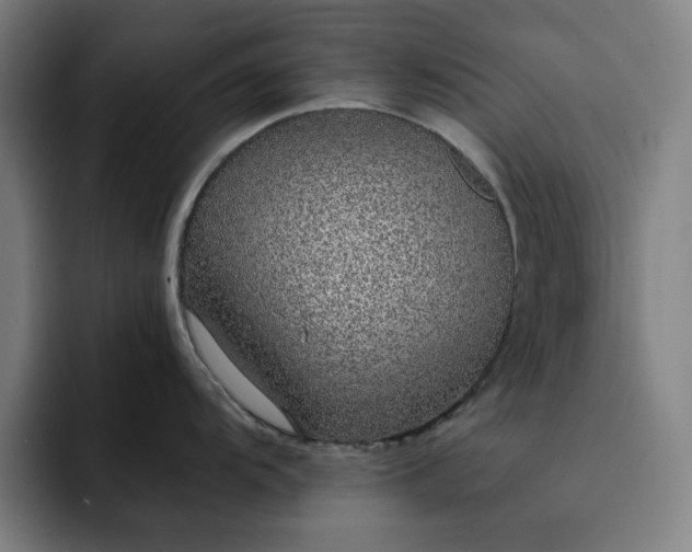 X0000092321104200709211325