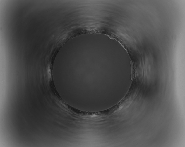 X0000092321106200709211324