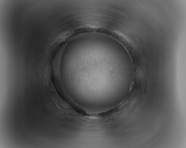 X0000092321110200709211324