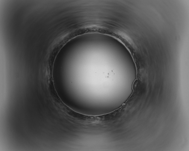 X0000092321111200709211324