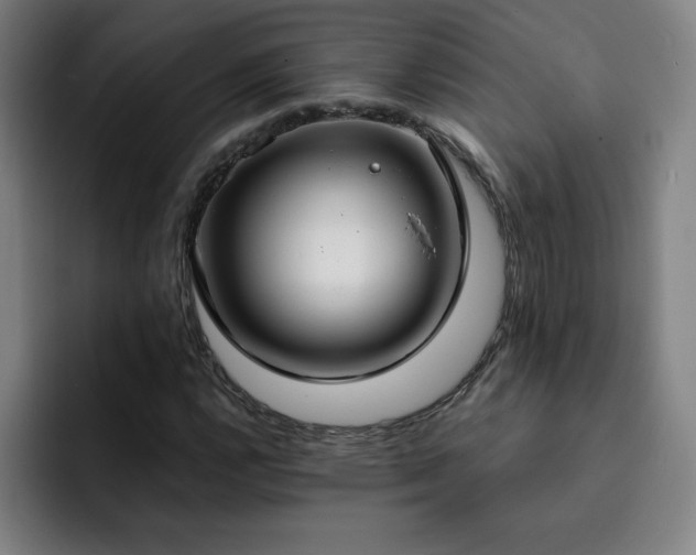X0000092321112200709211324