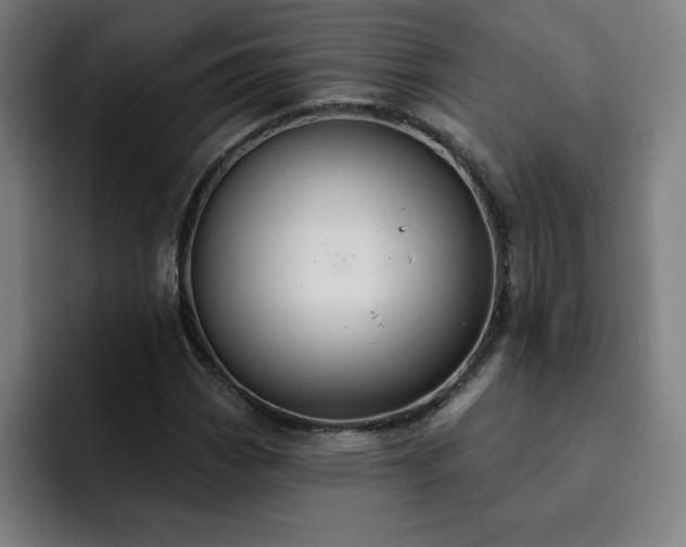 X0000092321113200709211324