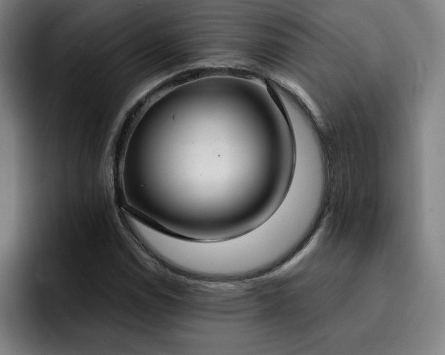 X0000092321114200709211324
