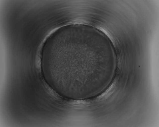 X0000092321115200709211324