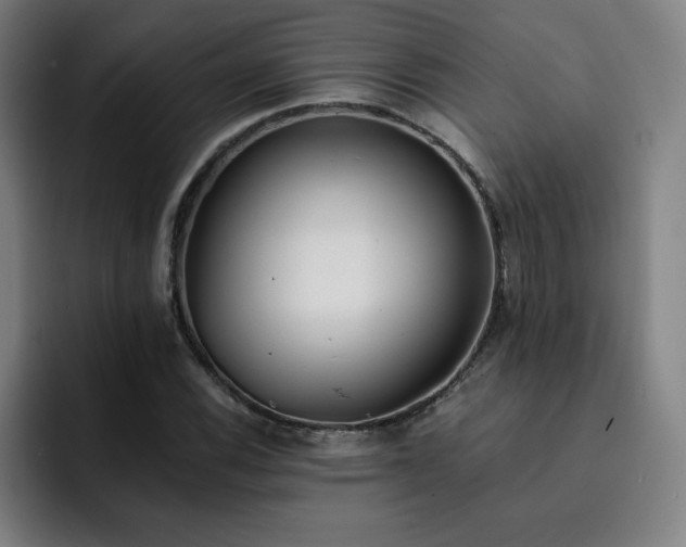 X0000092321116200709211324
