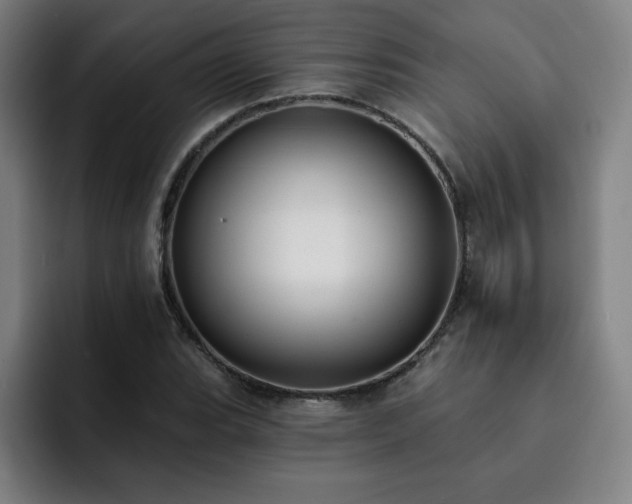 X0000092321119200709211324