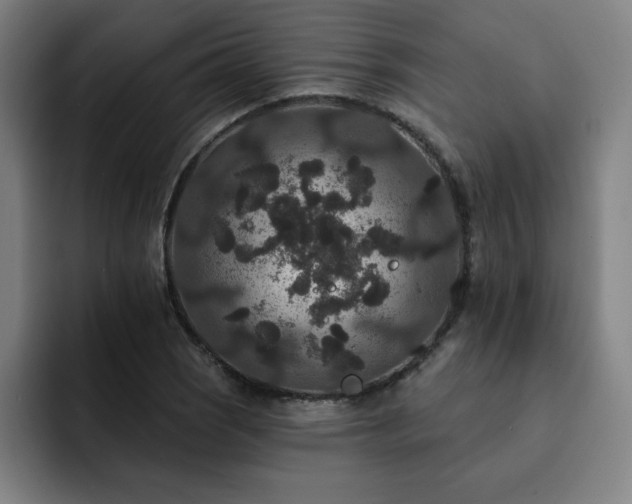 X0000092321121200709211324