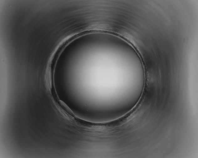 X0000092321123200709211324