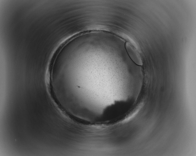 X0000092321125200709211324