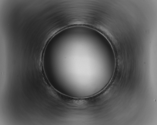 X0000092321129200709211324