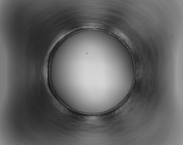 X0000092321130200709211325