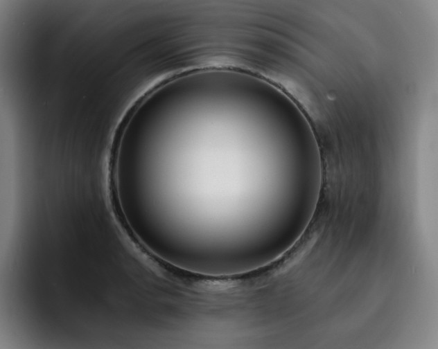 X0000092321134200709211325