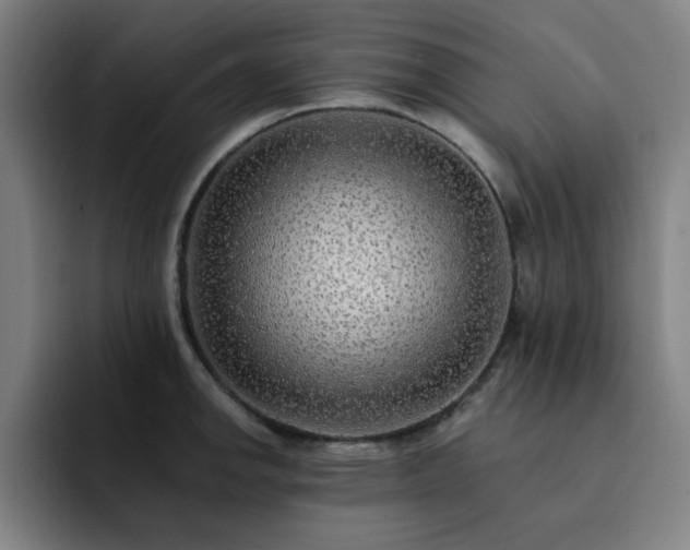 X0000092321142200709211325
