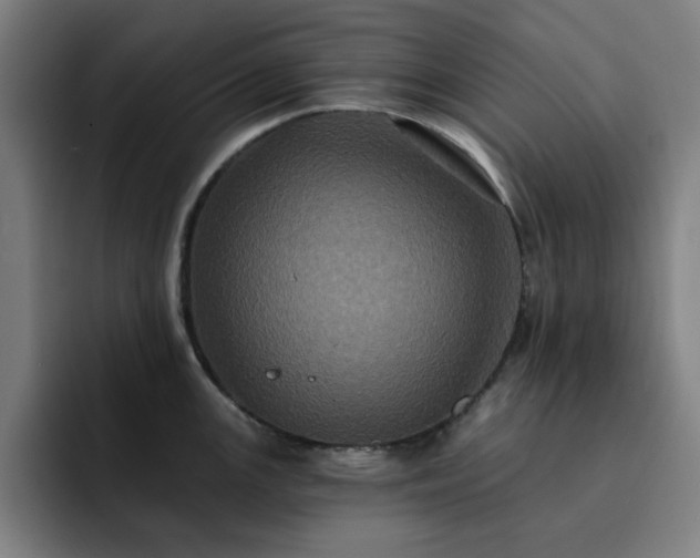 X0000092321147200709211325