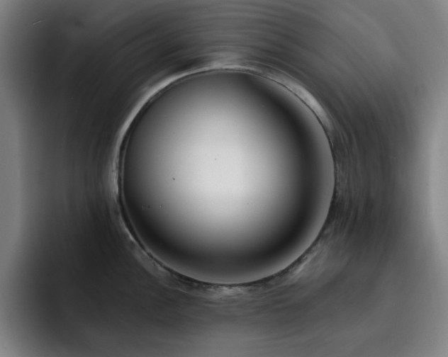 X0000092321148200709211325
