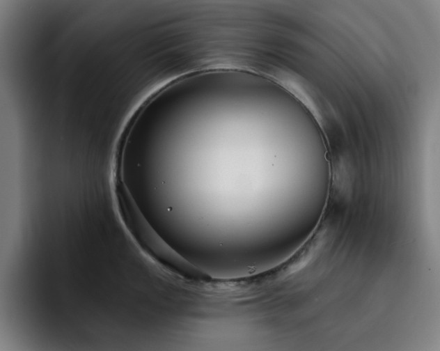 X0000092321149200709211325