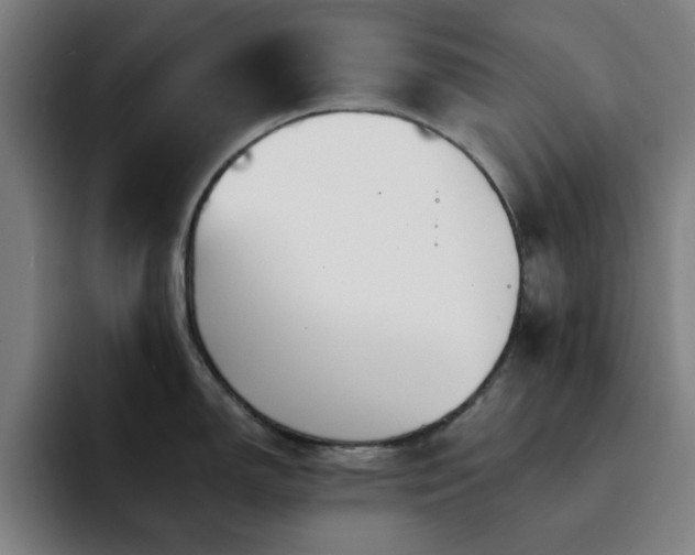 X0000092321150200709211325