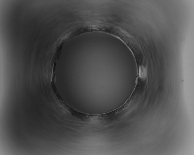 X0000092321155200709211324