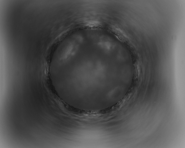 X0000092321158200709211324