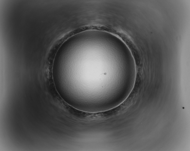 X0000092321159200709211324
