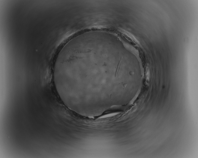 X0000092321160200709211324