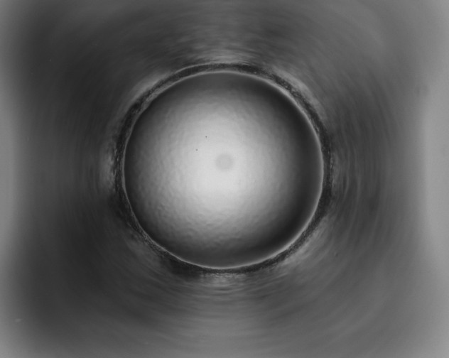 X0000092321163200709211324
