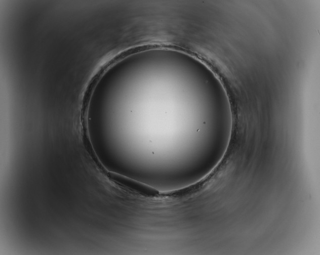 X0000092321168200709211324
