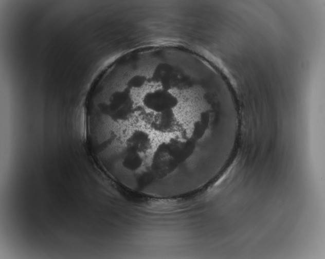 X0000092321171200709211324