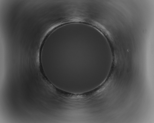 X0000092321174200709211324