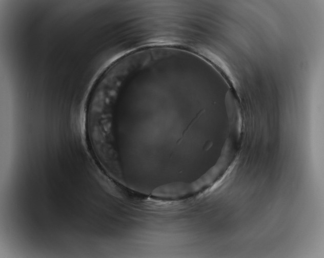 X0000092321179200709211324