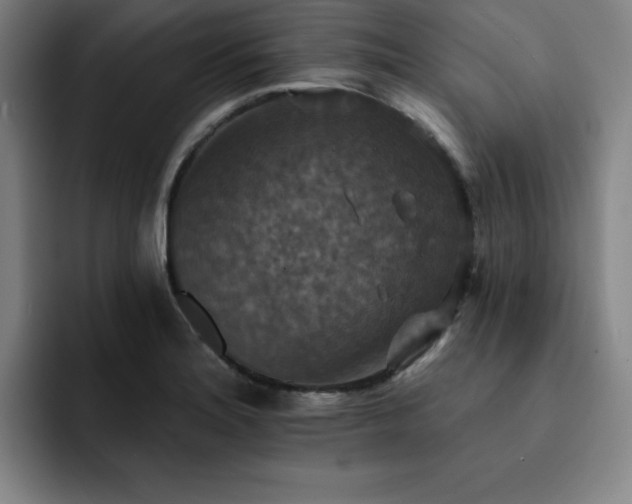 X0000092321180200709211324