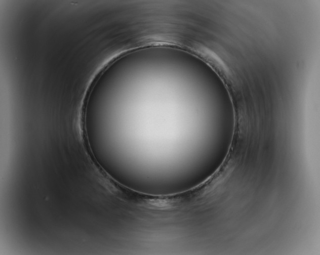 X0000092321182200709211324