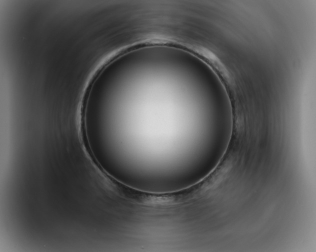 X0000092321183200709211324