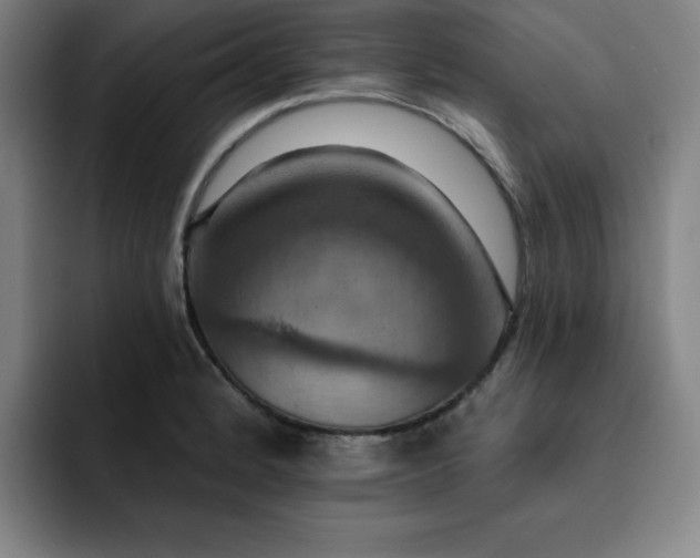 X0000092321184200709211324