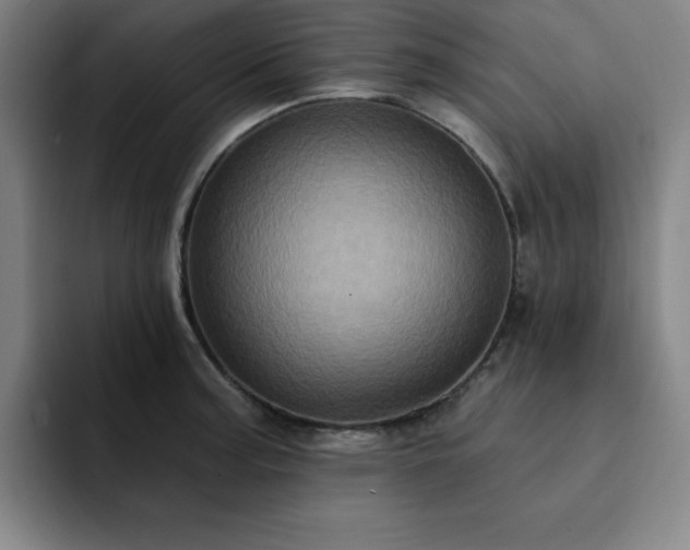 X0000092321187200709211324
