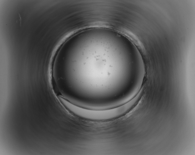 X0000092321188200709211324