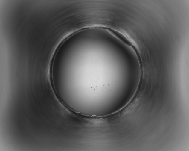 X0000092321189200709211324