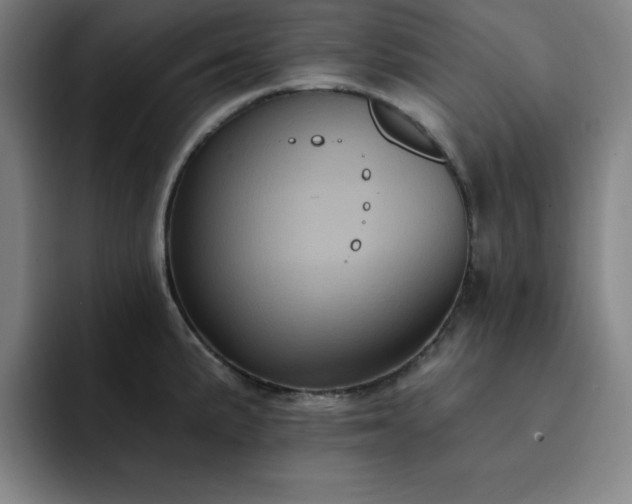 X0000092321191200709211324