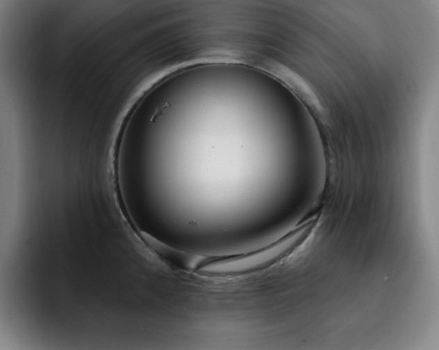 X0000092321192200709211324