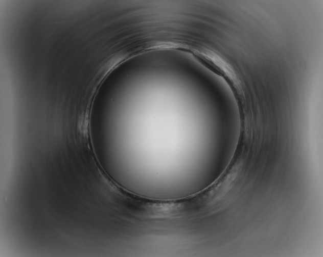 X0000092321193200709211324