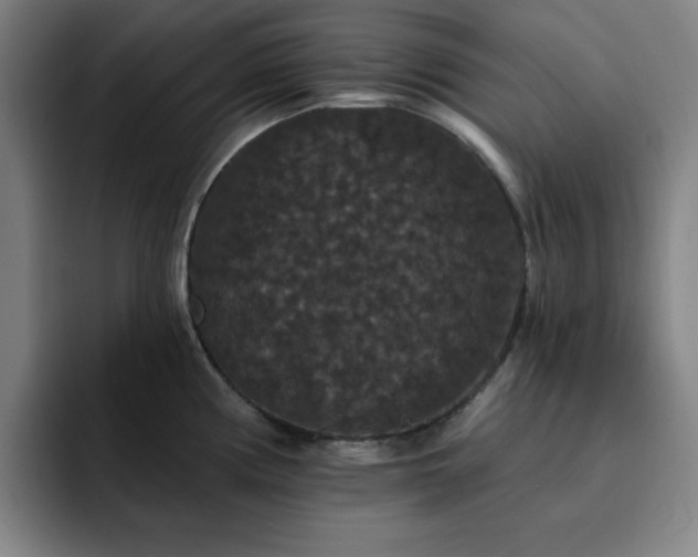 X0000092321194200709211324