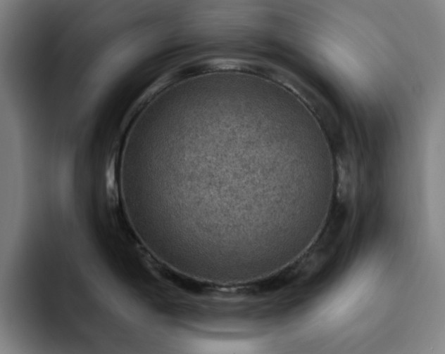 X0000092321198200709211324