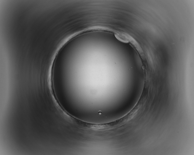 X0000092321199200709211323
