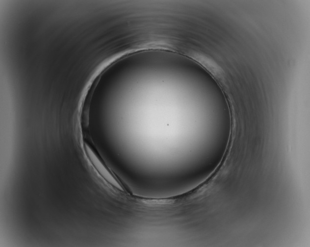 X0000092321200200709211323
