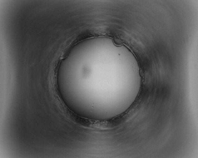 X0000092321201200709211323