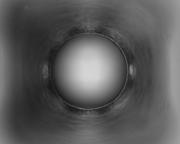 X0000092321203200709211323