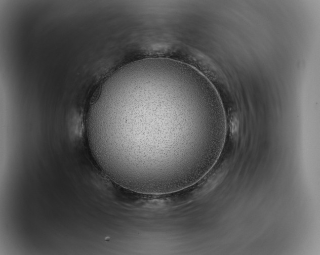 X0000092321204200709211323