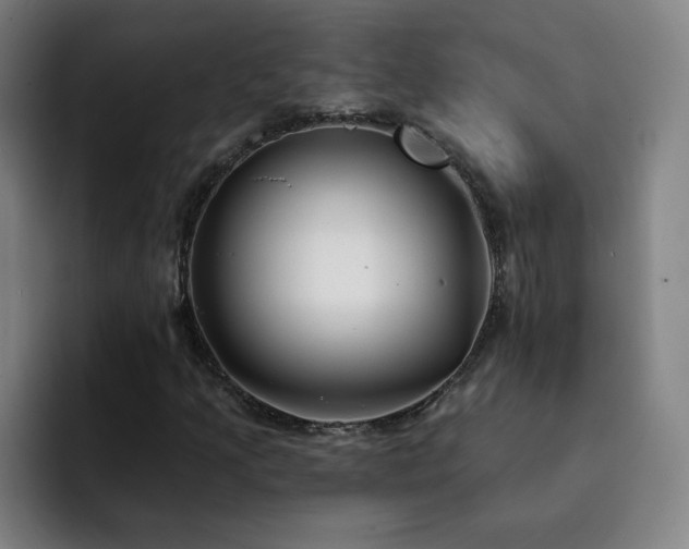 X0000092321205200709211323